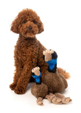 Oz The Emu Plush Dog Toy -FINAL SALE NO RETURNS OR EXCHANGES